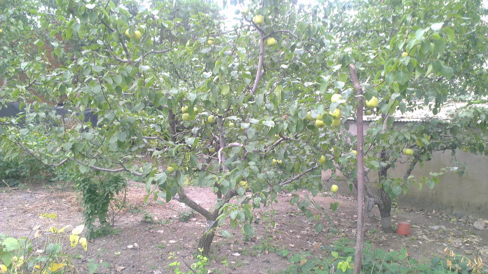 IMAG0313