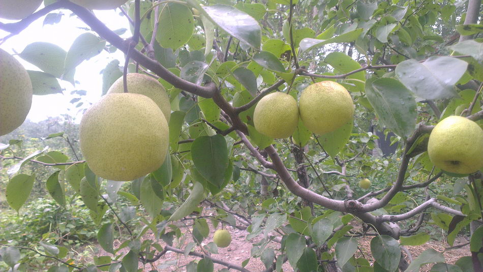 IMAG0309