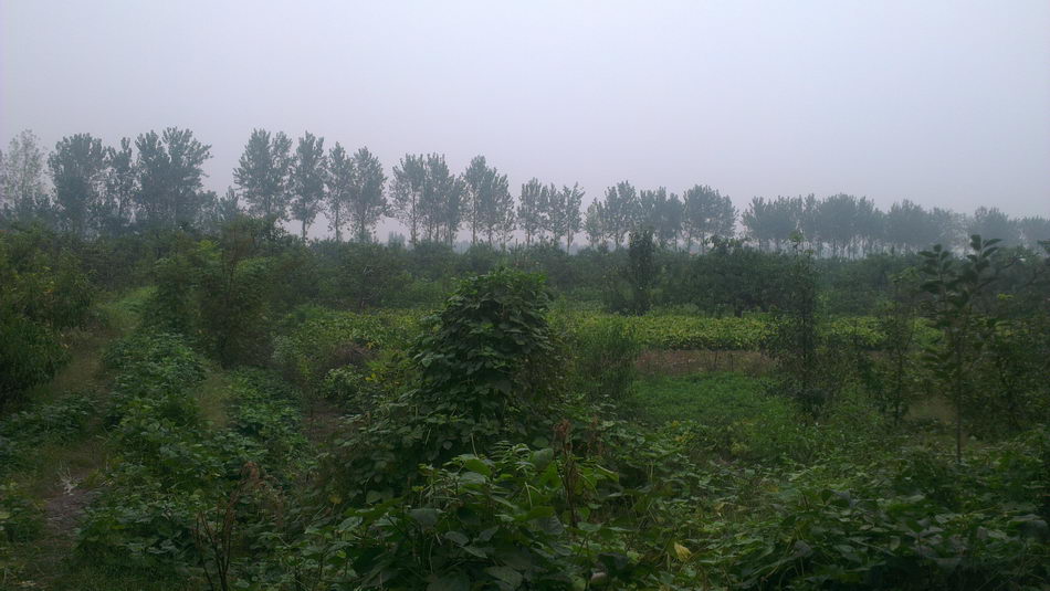 IMAG0310