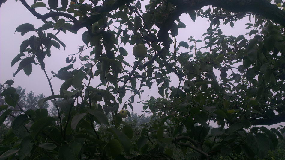 IMAG0312