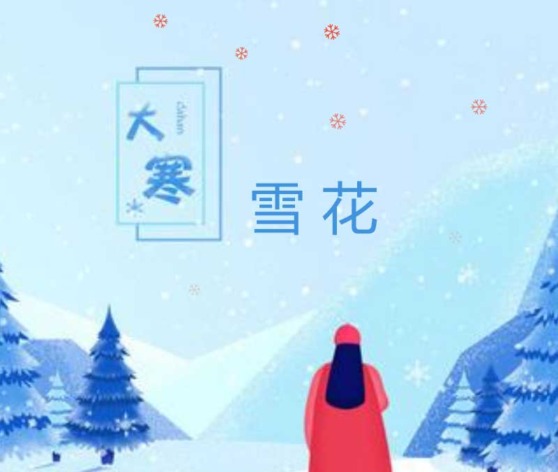 jQuery，轻松实现雪花飘落及其他炫酷元素特效