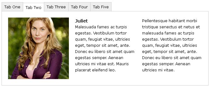 jQuery Tab 滑动切换效果，向上滑动DIV选项卡代码实现