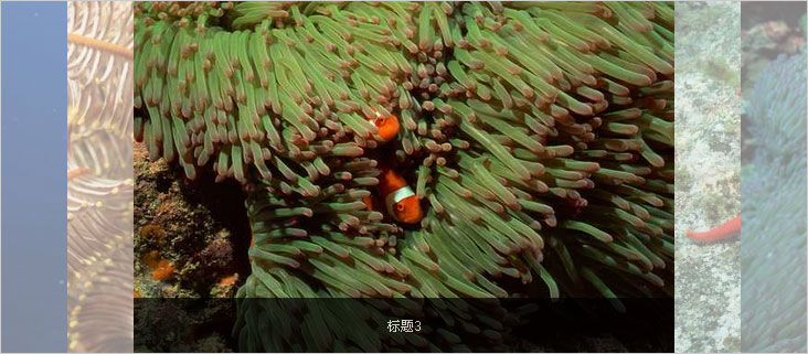 jQuery水平手风琴图片轮换插件，简洁带标题，滑动门选项卡