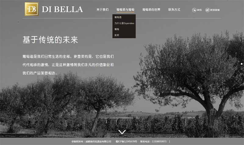 迪贝拉葡萄酒官网，大气单页HTML5模板展示