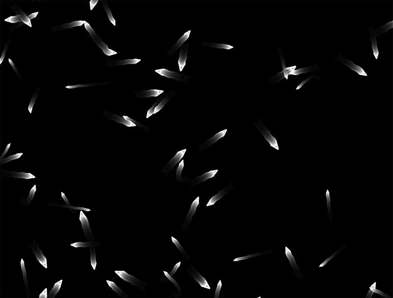 随机游动字母Canvas背景动效，HTML5精彩实例展示