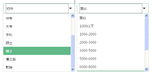 jQuery Select美化插件，定制Select样式美化，轻松打造精美表单代码