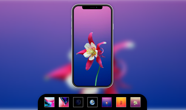 CSS3打造iPhone X桌面背景动态切换特效示例