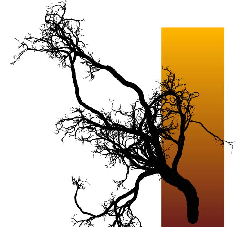 HTML5 Canvas 实现树生长动画特效精彩实例