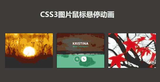 CSS3列表图片悬停动画效果精彩实例
