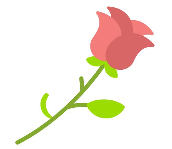 HTML5 SVG手绘玫瑰动画特效，精彩实例展示
