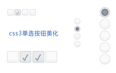 CSS3美化单选与复选按钮的简易代码实例