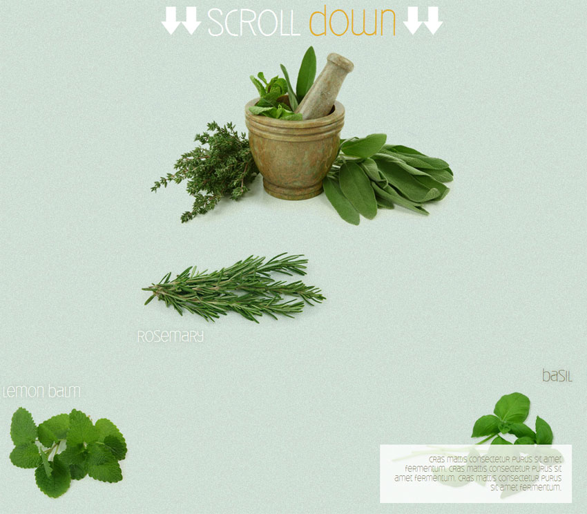 符合要求的jQuery Scroll Down特效，鼠标滚动，图片缓缓排列，惊艳视觉体验！