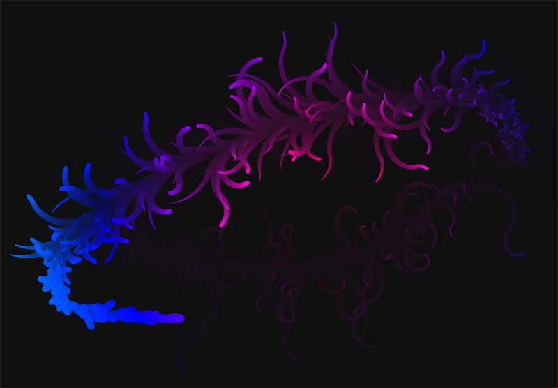HTML5 Canvas，鼠标绘制动态花纹动画特效实例