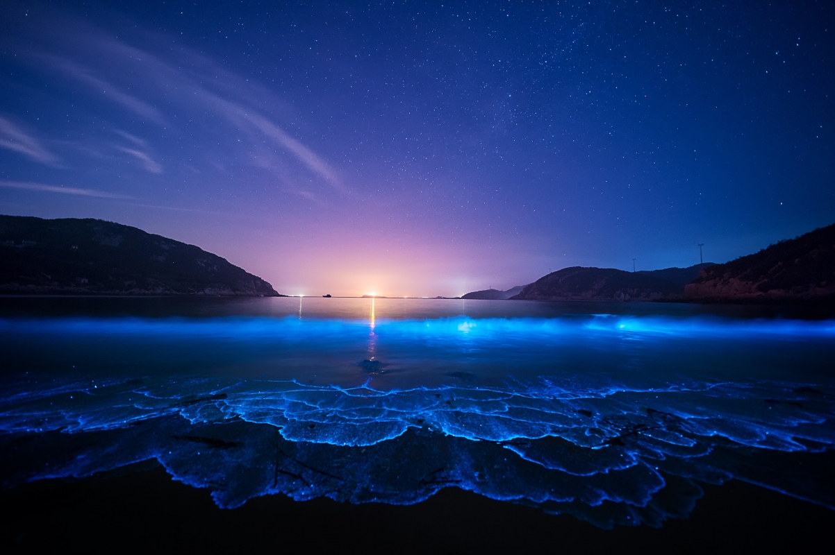 晚上星空海边美景，海岸4K超清壁纸，高清大图4928x3280，免费下载