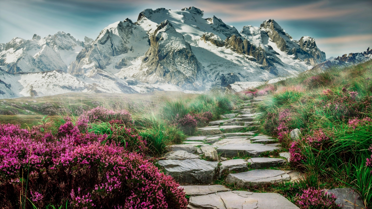 山脉之路，台阶间的鲜花与绿草，绝美4K风景壁纸（3840x2160高清下载）