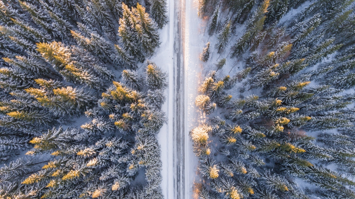 绝美森林雪景，超高清4K俯视视角，3992x2242大图壁纸免费下载