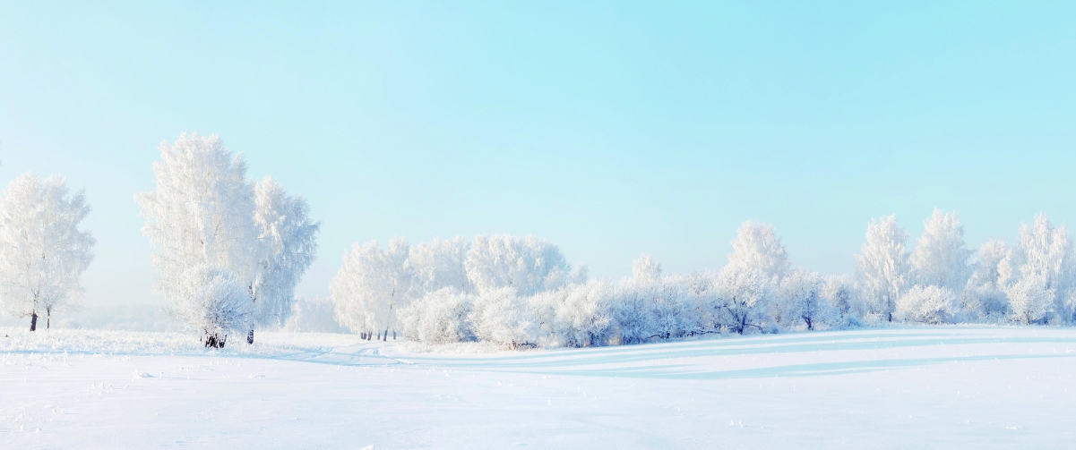 冬日雪景树挂银装，3440x1440高清4K风景壁纸下载