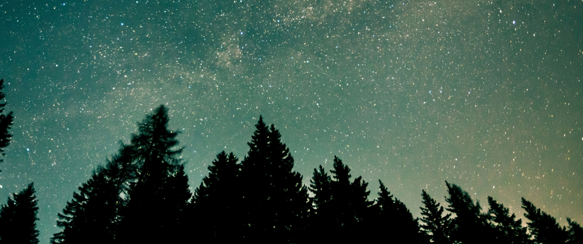 4K高清森林星空夜间壁纸，绝美风景3440x1440，一键下载尽享视觉盛宴！