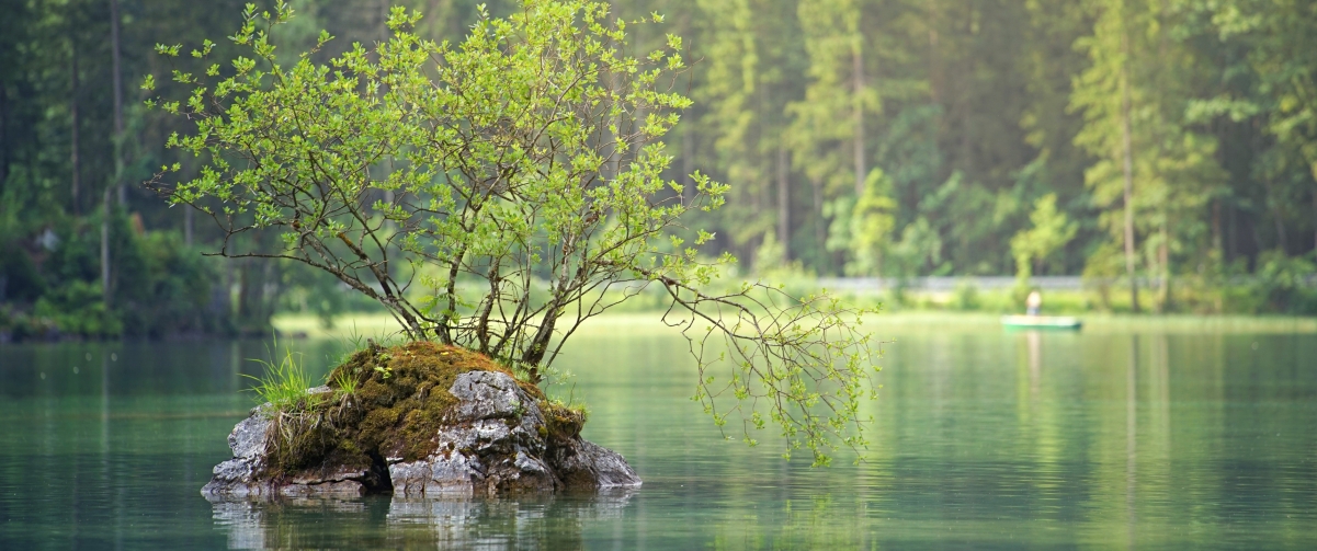 岩石岛森林湖绝美风光，3440x1440带鱼屏壁纸，高清4K风景图片，一键下载
