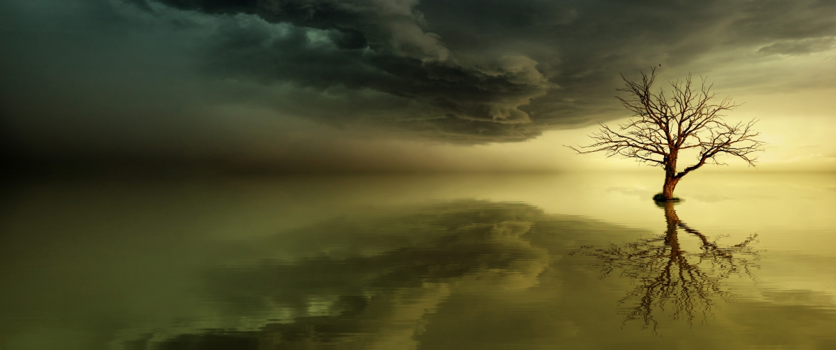 魔法天空与海景，日落黎明的奇幻树影，3440x1440高清4K风景壁纸下载