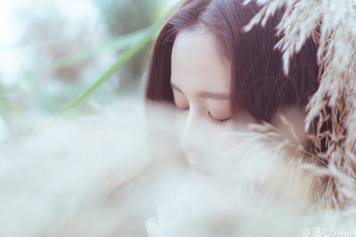 温心Swan精选，绝美4K高清壁纸，细腻画质，畅享视觉盛宴，4200x2800分辨率，一键下载！