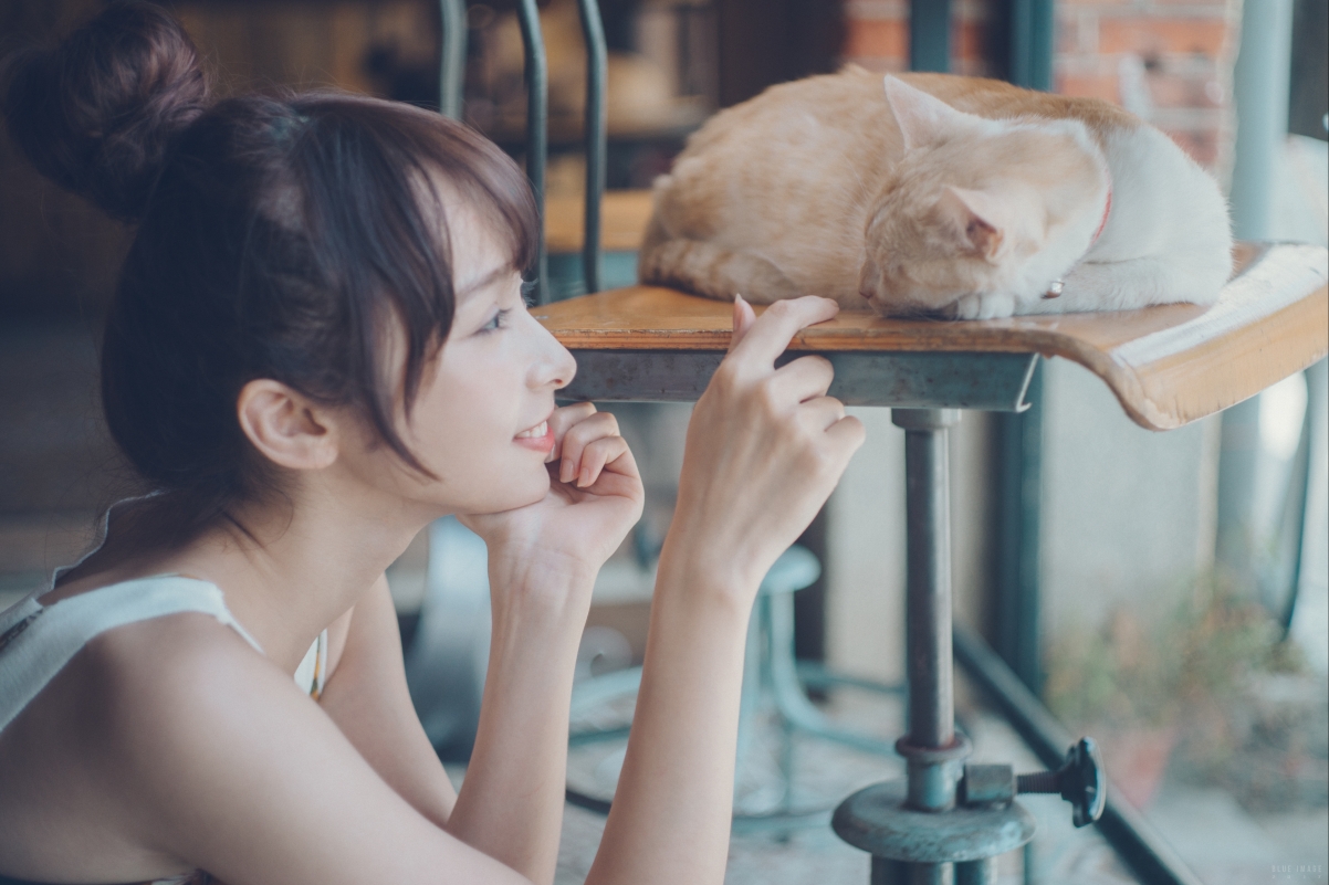 女孩与猫绝美瞬间，4K高清人物壁纸，3840x2560超高清下载