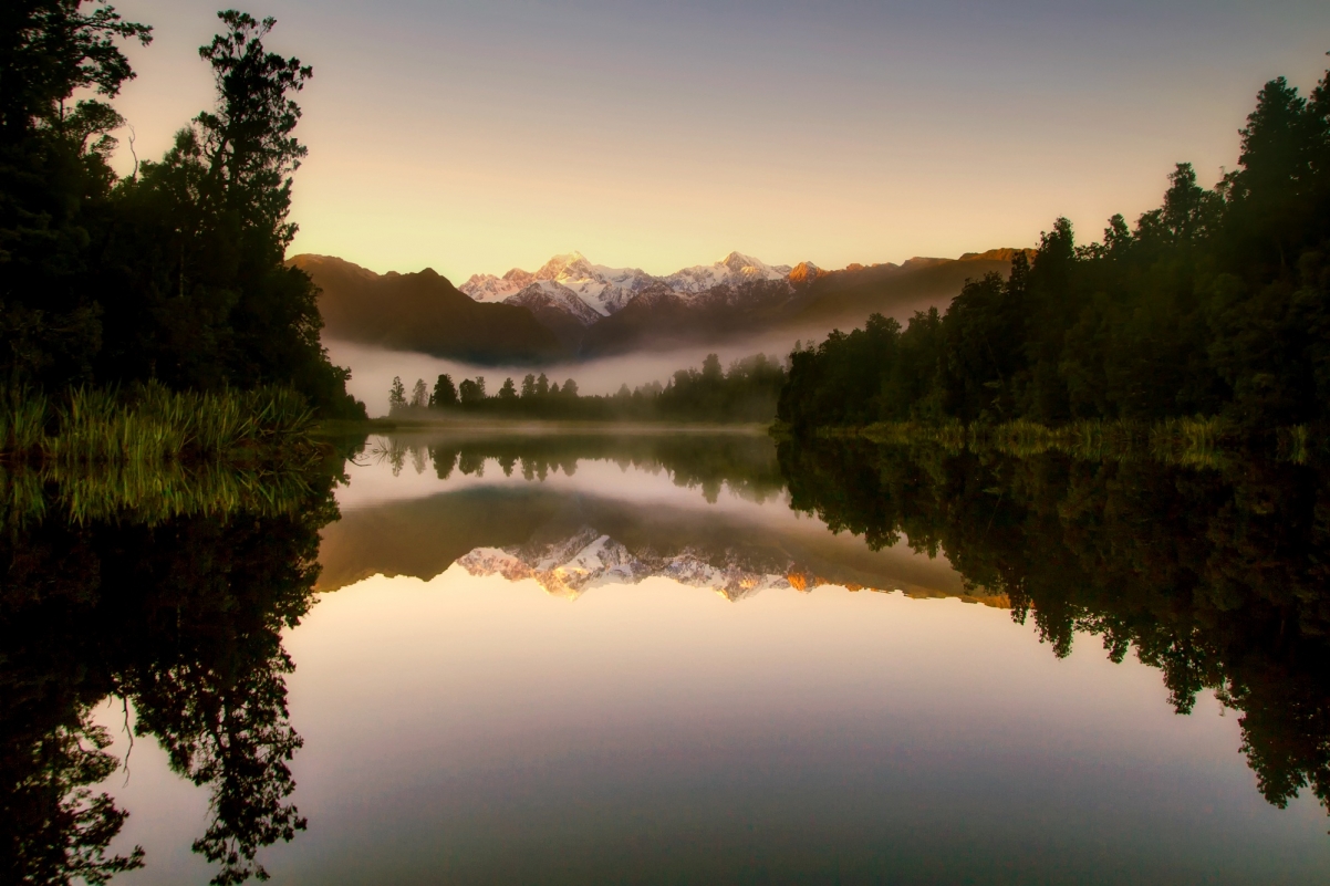 新西兰日出雾景，森林树影间的自然之美——高清4K风景壁纸，2000x1333分辨率，尽享视觉盛宴！