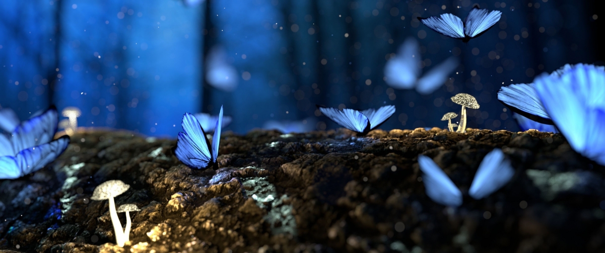 黑暗中闪耀的蓝色蝴蝶，绝美4K动物壁纸，3440x1440高清下载