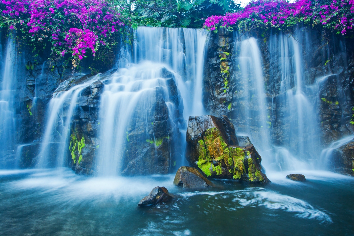 瀑布苔藓鲜花石头美景，超高清4K风景壁纸，4000x2667分辨率，免费下载！