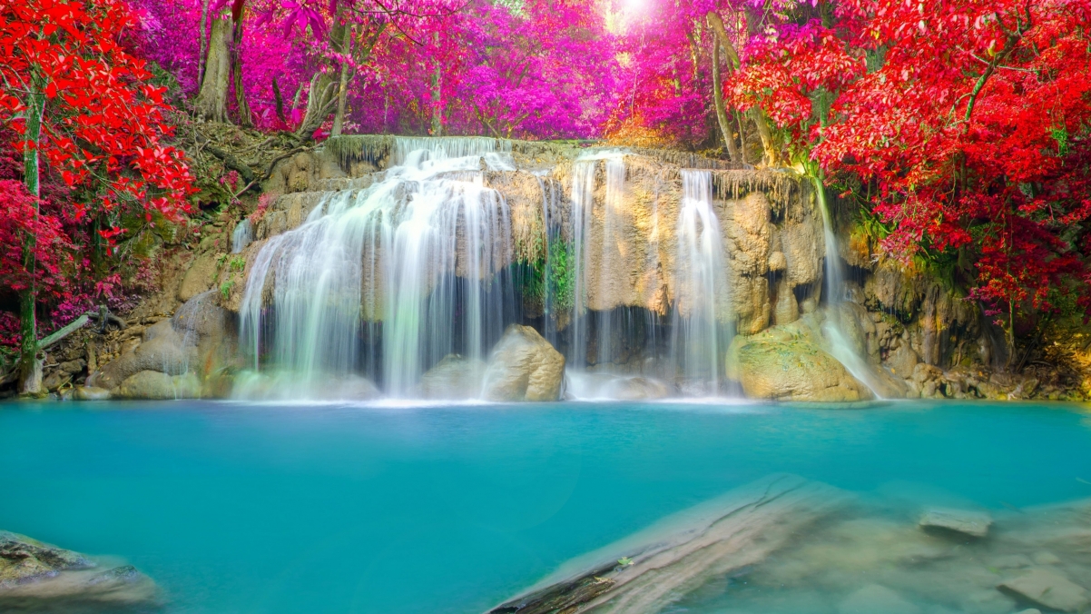 森林红叶粉瀑，绝美4K风景壁纸，高清3840x2160，一键下载！