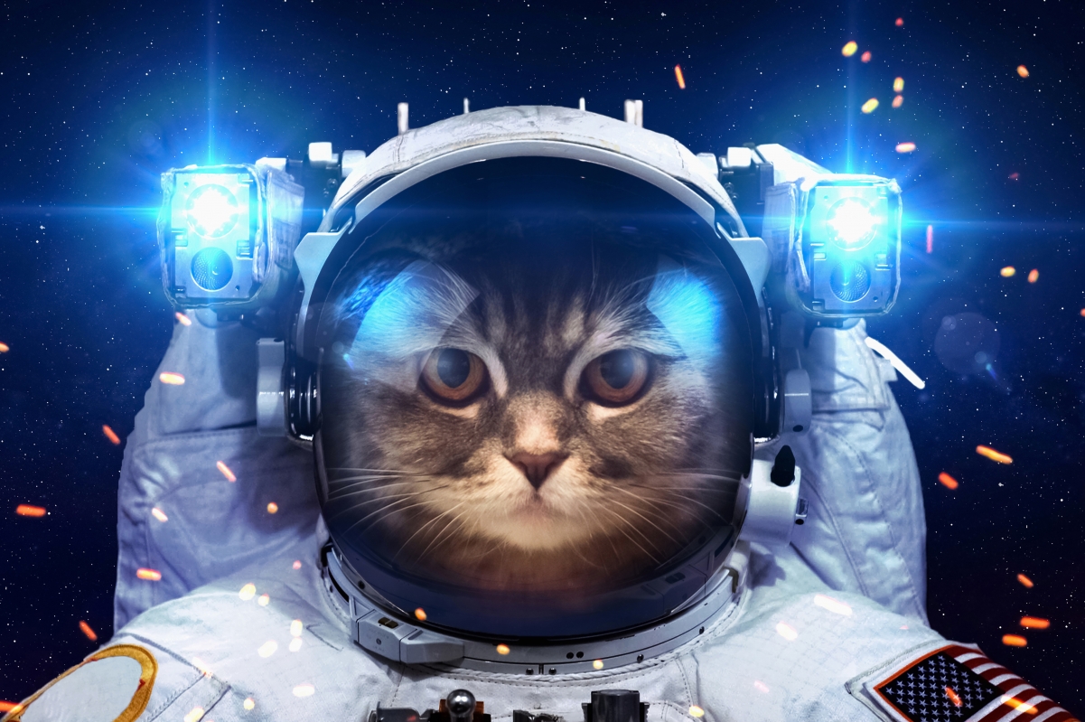 猫宇航员太空探险，高清5K壁纸，4K动物美图，精美5200x3460尺寸，一键下载！