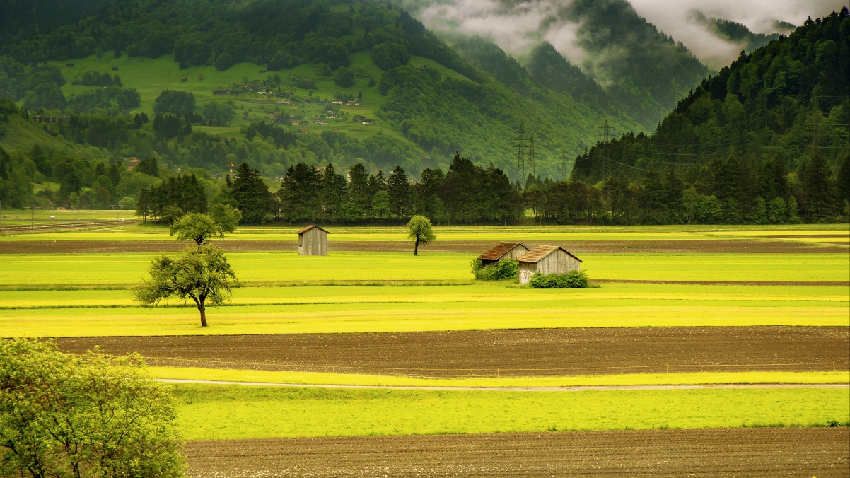 瑞士自然美景，绿草山坡、林间棚屋，高清5K风景壁纸，绝美画面尽在其中，5070x2852分辨率下载