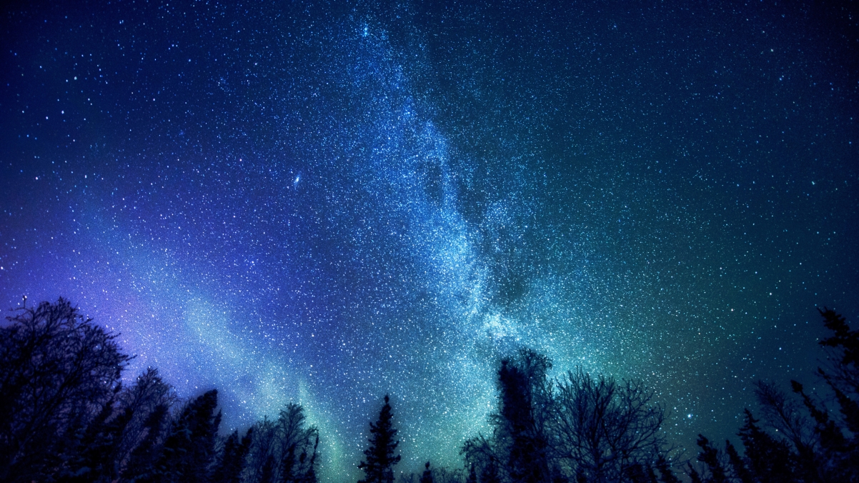 神秘森林与银河系，4K高清星空树影风景壁纸，3840x2160超清下载