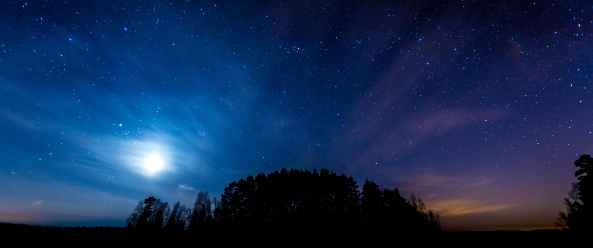 夜晚星空下的神秘树林，超清4K风景壁纸，3440x1440高清下载