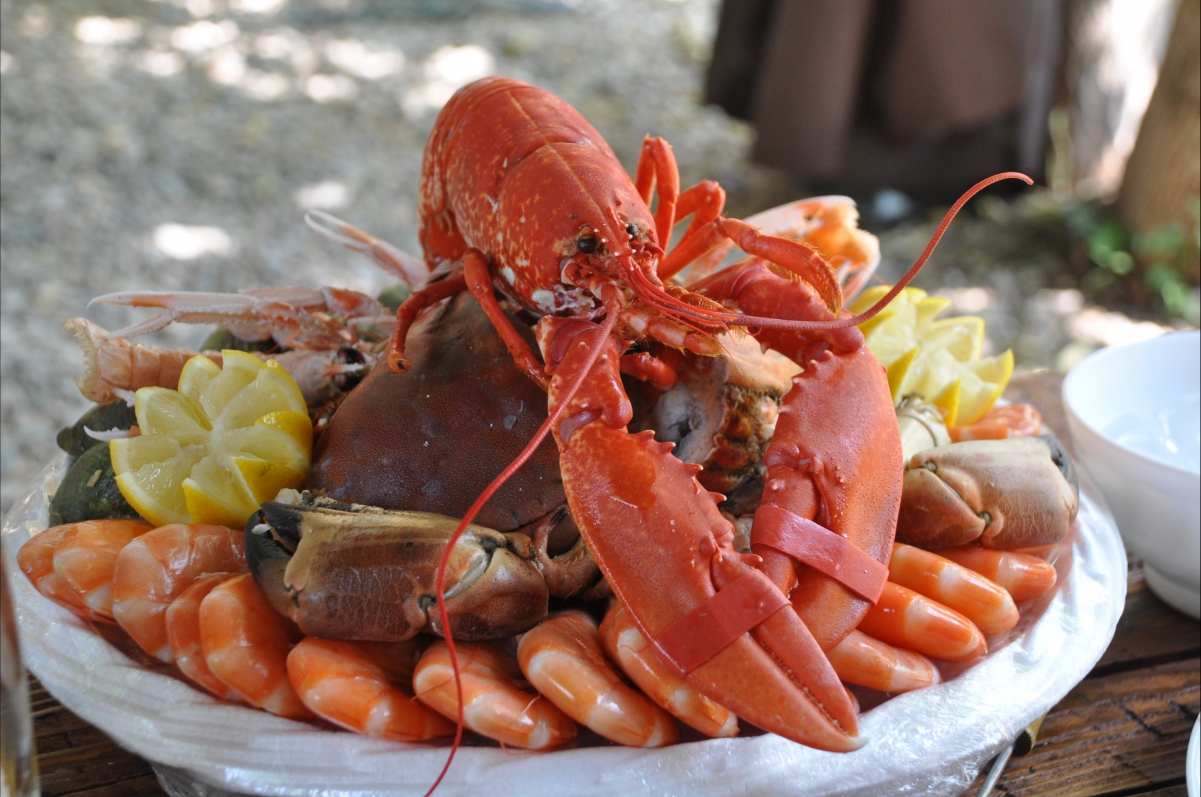 【独家美食】豪华海鲜拼盘，龙虾油渣虾齐聚，4K高清美食壁纸免费下载