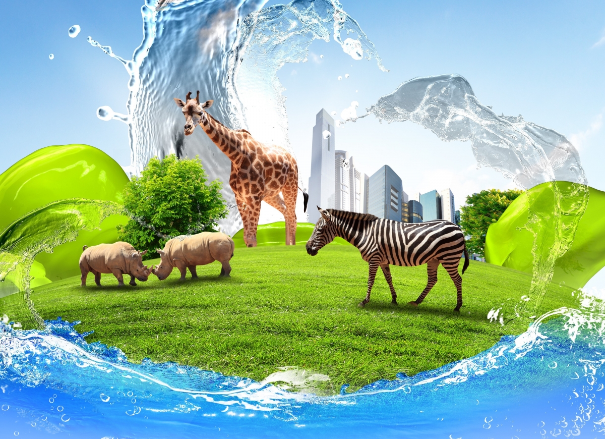 斑马长颈鹿犀牛共舞天空绿草地，创意设计4K高清壁纸，绝美背景图片免费下载