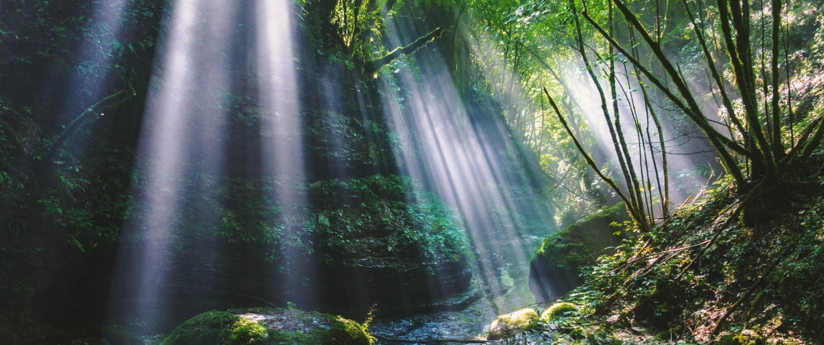 绝美森林山谷，阳光洒落，4K超清壁纸，3440x1440高清下载