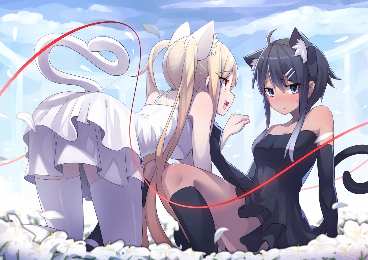 少女萌态，耳尾裙袜全展现，精选4K动漫壁纸，超清4000x2828，一键下载！