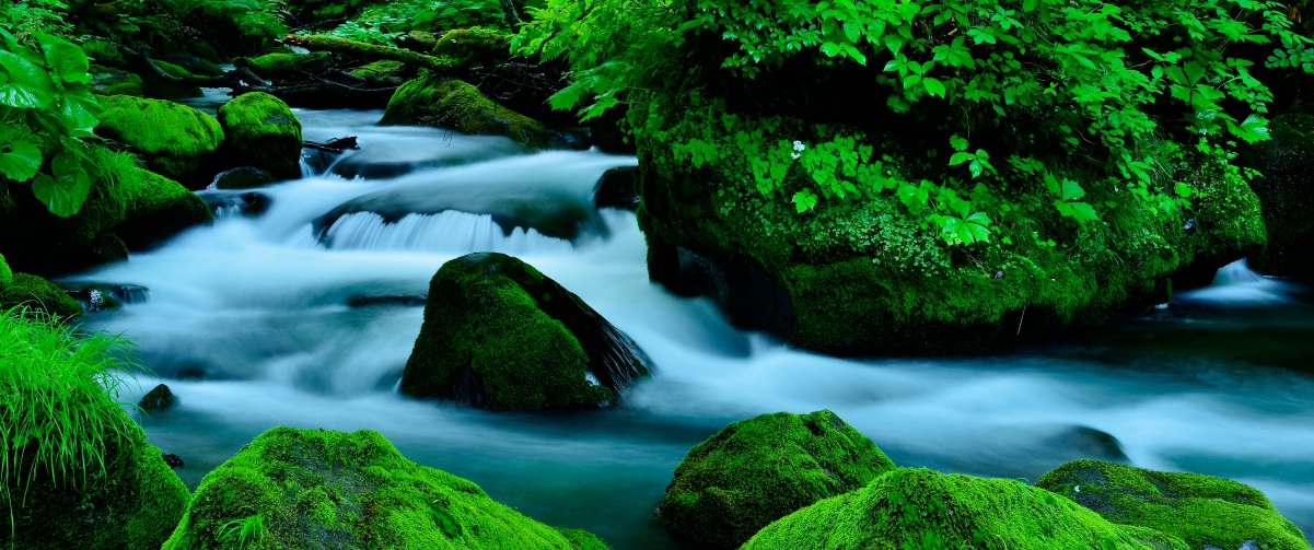 绿色峡谷绝美风光，4K高清壁纸，3440x1440分辨率，一键下载！