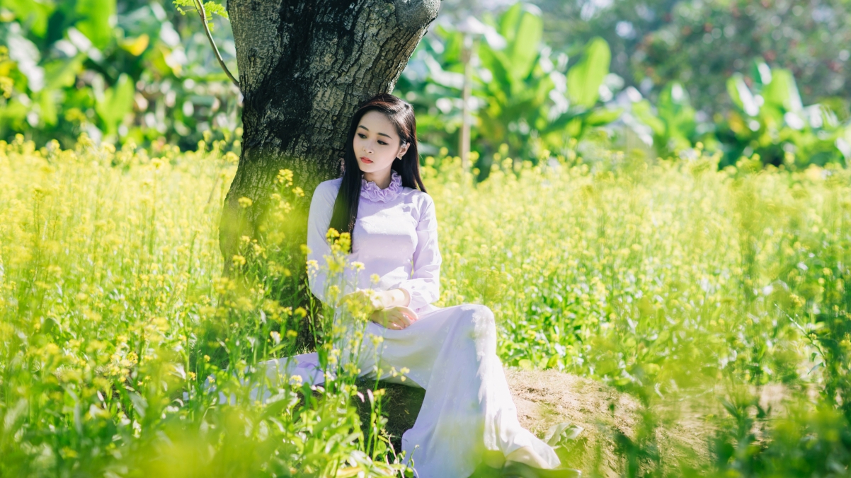 清纯美女树下静坐，养眼4K壁纸高清下载，3840x2160分辨率美图欣赏