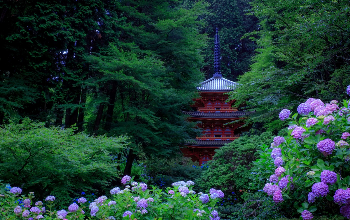 京都公园绿翠之景，树木繁茂、绣球花艳，塔影矗立，4K高清壁纸免费下载