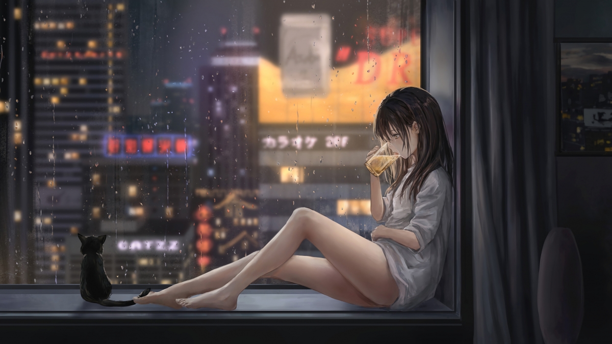 雨夜飘窗品酒，猫伴唯美夜景，高清4K动漫壁纸，下载即享绝美画面
