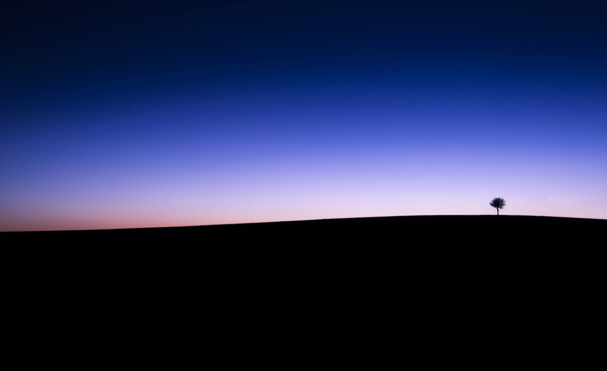 暮光下的天空线与树影，高清5K/4K背景壁纸，简洁设计，5760x3516尺寸，免费下载