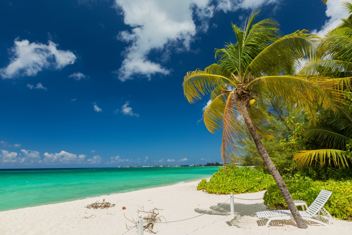 夏日海滨棕榈风情，4K超高清壁纸，4200x2800分辨率，美景尽在指尖