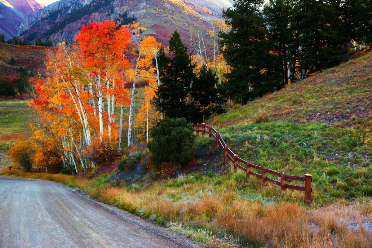 秋日山景，道路与栅栏交织，4K高清壁纸，尽享自然之美（4080x2720）