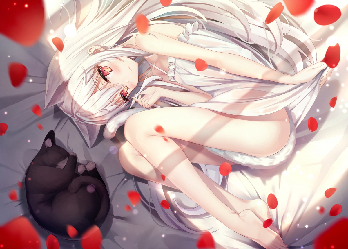 白发少女与黑猫共舞，花瓣飘落，绝美4K动漫壁纸高清下载