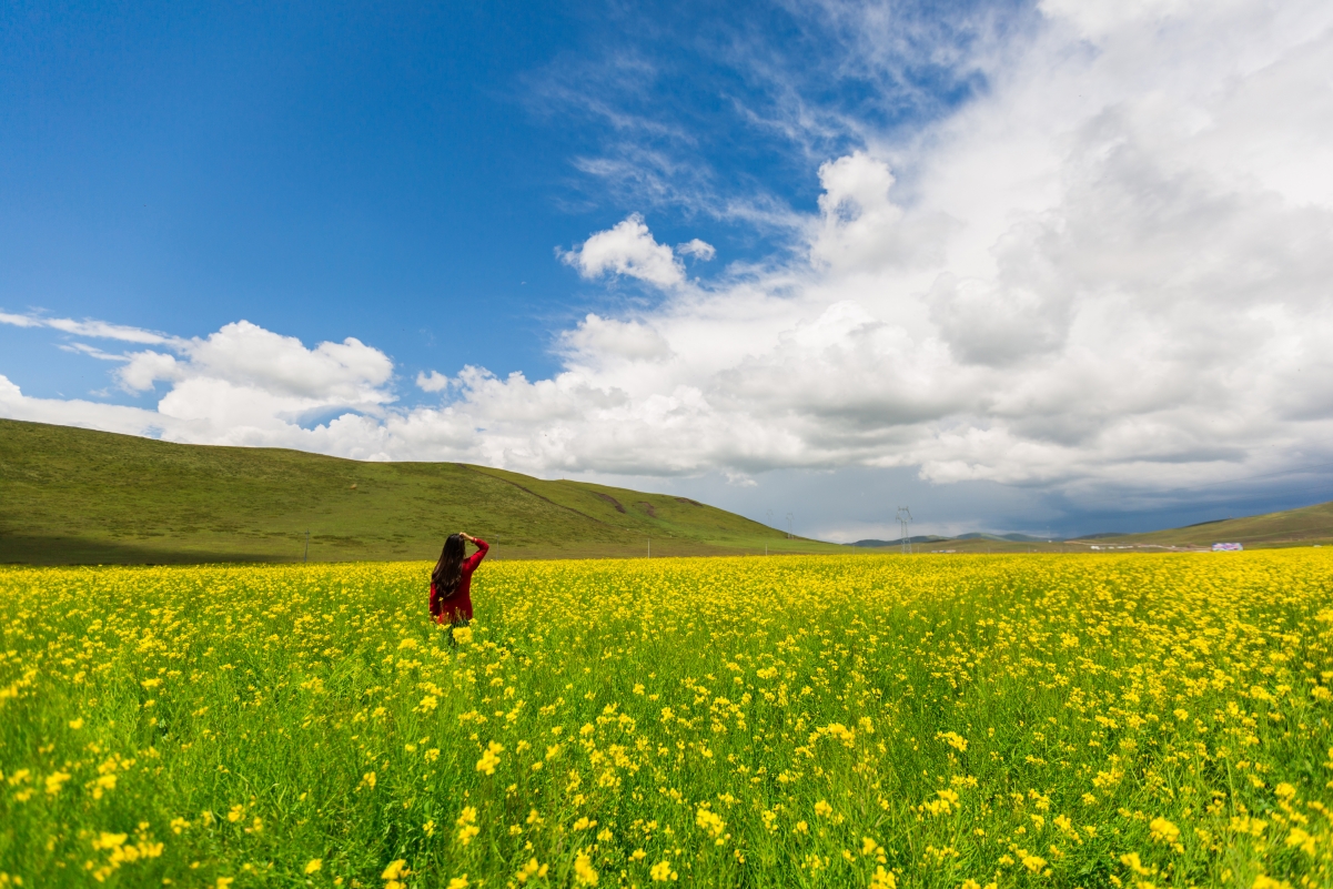 蓝天白云映油菜花海，绝美4K风景人物壁纸，高清4200x2800下载