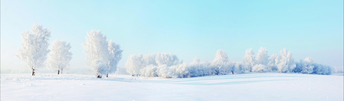 冬日雪景树影，8K/4K超清风景壁纸，8000x2355高清下载