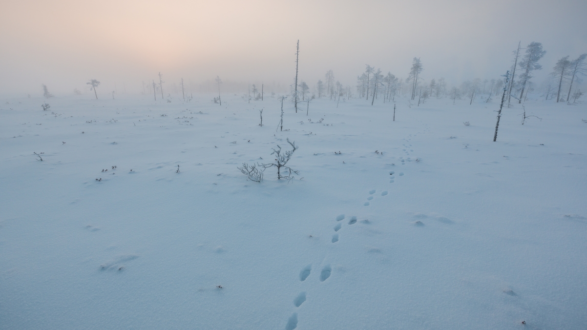芬兰绝美雪景4K壁纸，超清风景图片，3840x2160高清下载