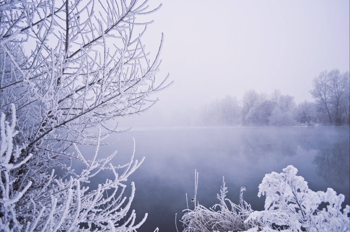 冬日水韵雪景，树挂霜花雾漫，4K超清壁纸，高清下载享美景